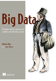 Big Data: Principles and best practices of scalable realtime data systems