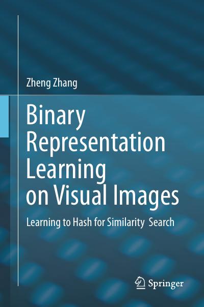 Binary Representation Learning on Visual Images: Learning to Hash for Similarity Search