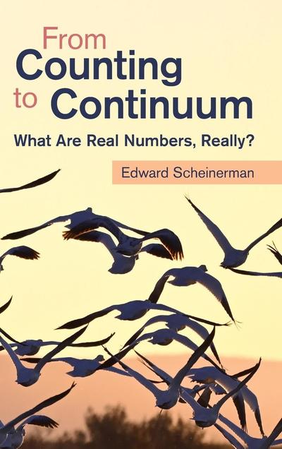 From Counting to Continuum: What Are Real Numbers, Really?