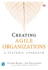 Creating Agile Organizations: A Systemic Approach