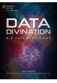 Data Divination: Big Data Strategies