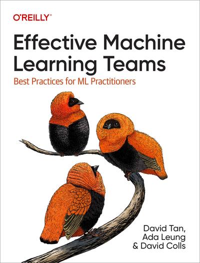 Effective Machine Learning Teams: Best Practices for Ml Practitioners