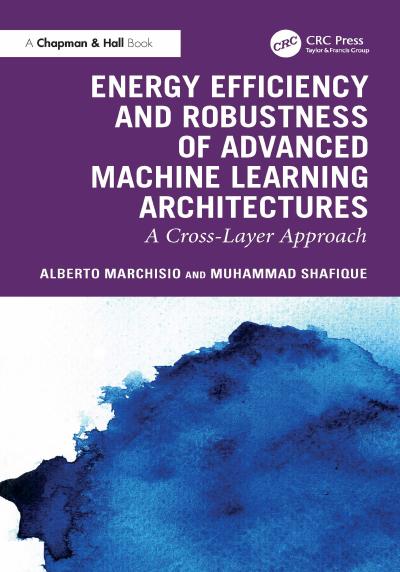 Energy Efficiency and Robustness of Advanced Machine Learning Architectures: A Cross-Layer Approach