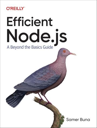 Efficient Node.js: A Beyond-the-Basics Guide