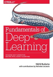 Fundamentals of Deep Learning: Designing Next-Generation Machine Intelligence Algorithms