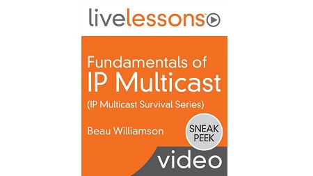 Fundamentals of IP Multicast (IP Multicast Survival School Series)