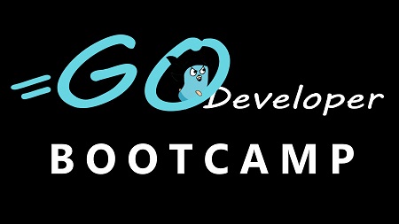 Go Developer Bootcamp