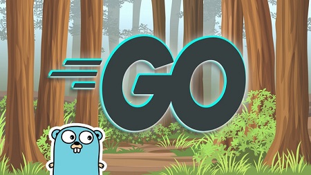 Go Programming (Golang): The Complete Developer’s Guide