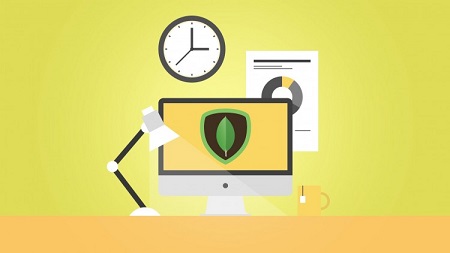 Learn MongoDB : Leading NoSQL Database from scratch