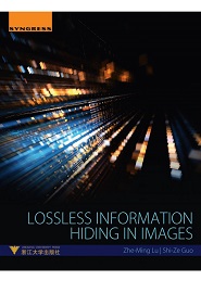 Lossless Information Hiding in Images