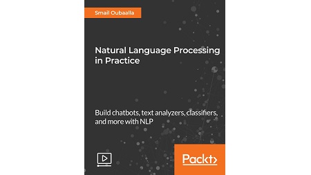 Natural Language Processing in Practice