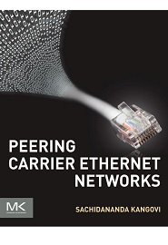 Peering Carrier Ethernet Networks