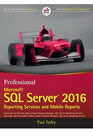 Professional Microsoft SQL Server 2016 Reporting Services and Mobile Reports