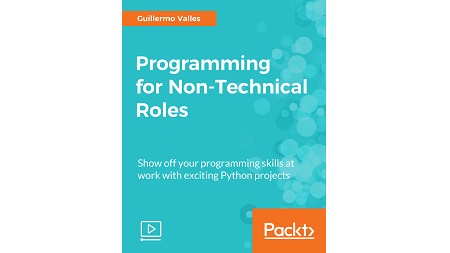 Programming for Non-Technical Roles