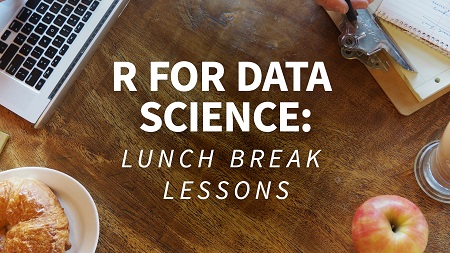 R for Data Science: Lunchbreak Lessons