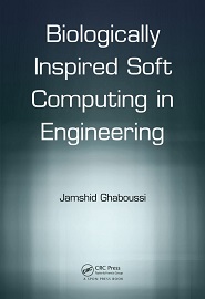 Soft Computing in Engineering